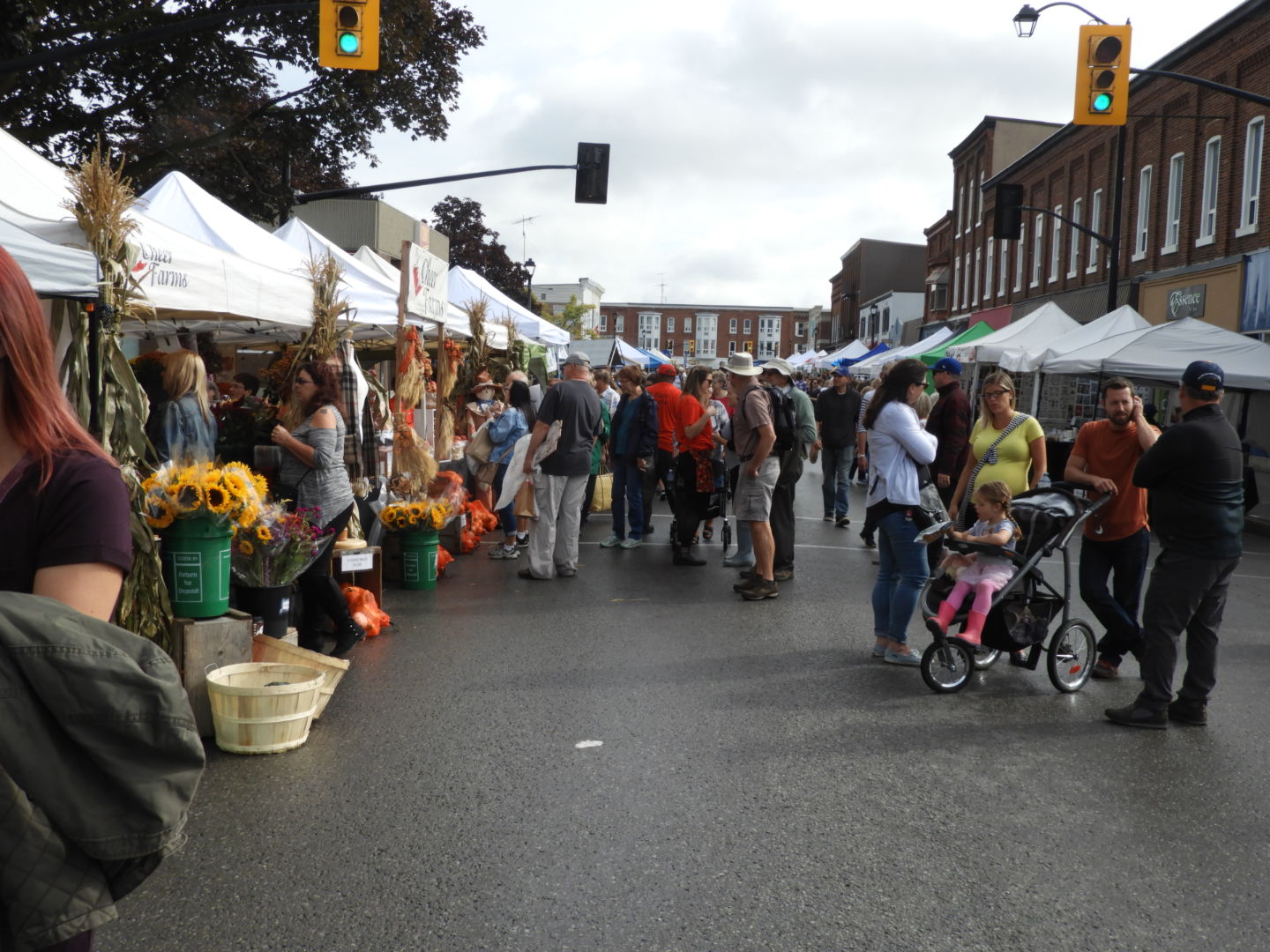 Applefest 2024 Silver Lake San Barbi Tracie