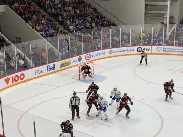 Leafs and Sens rock the CAA Arena | Quinte News